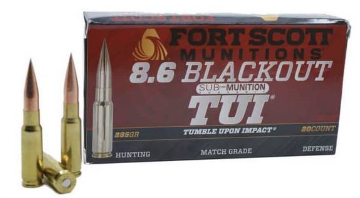 FSM 8.6 BLACKOUT 285 SUBSONIC - Win Repeating Arms Promotion